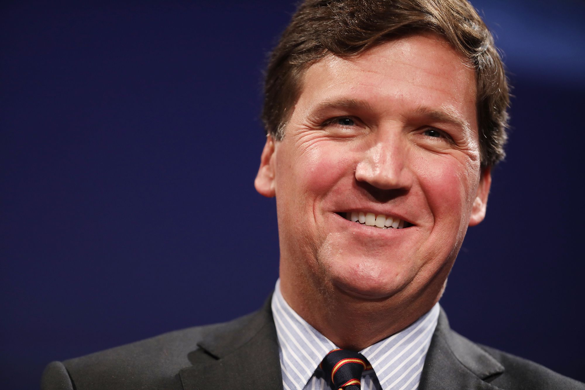 Why whale deaths are dividing environmentalists — and firing up Tucker Carlson - POLITICO