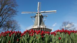 Windmills, tulips and a flat, cyclable landscape -- it can only be the Netherlands.