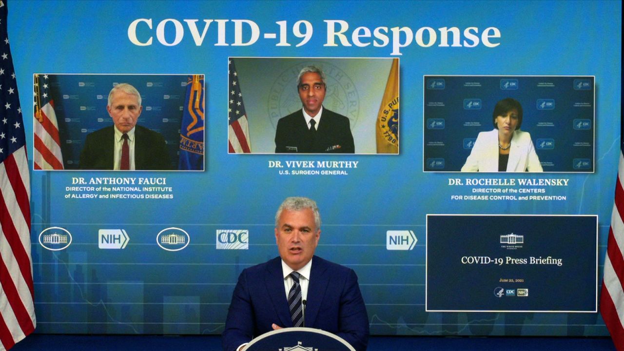  White House Covid-19 Briefing  on June 22. 