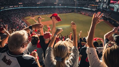 vivid seats paid sports