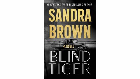 'Blind Tiger' by Sandra Brown 