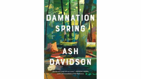 'Damnation Spring' by Ash Davidson