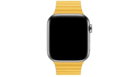 Apple Leather Watch Loop 