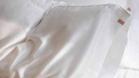 Best silk pillowcases in 2021 7 h 270,w 480