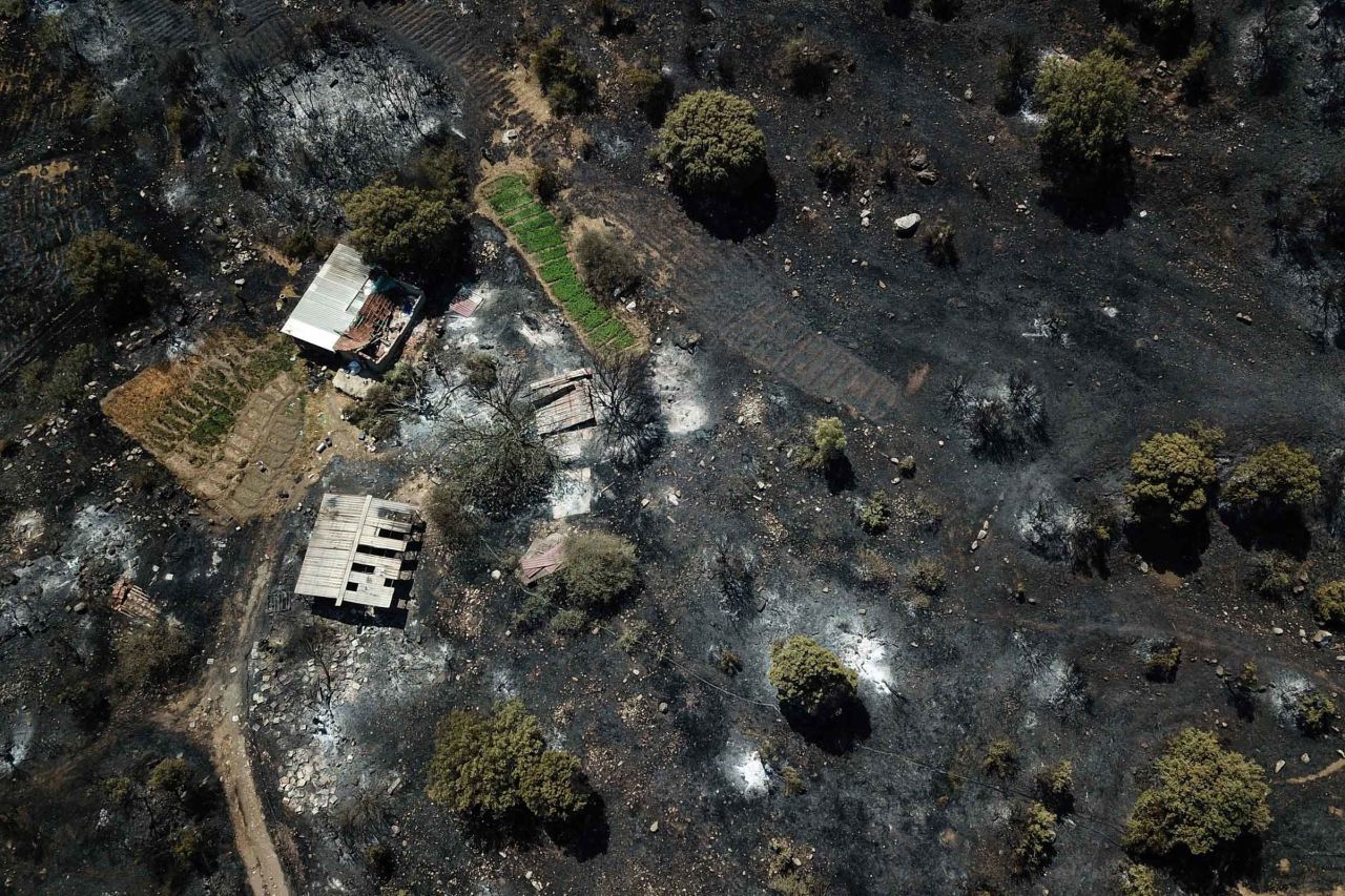 A charred area of Mugla, Turkey, after a forest fire on August 3.