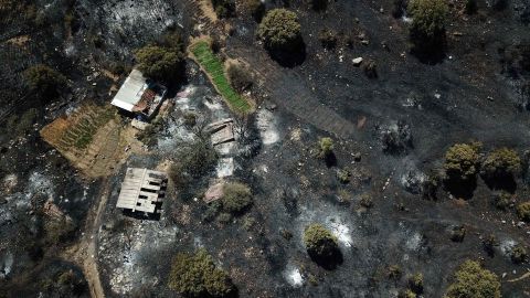 A charred area of Mugla, Turkey, after a forest fire on Tuesday, August 3.