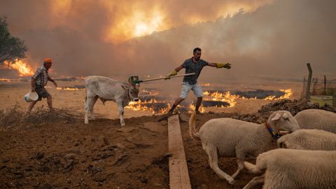 A man leads sheep away from an advancing fire on August 2, in Mugla, Turkey.
