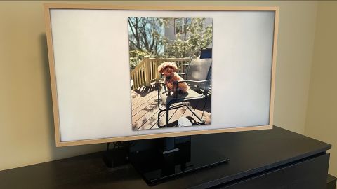 Samsung's The Frame