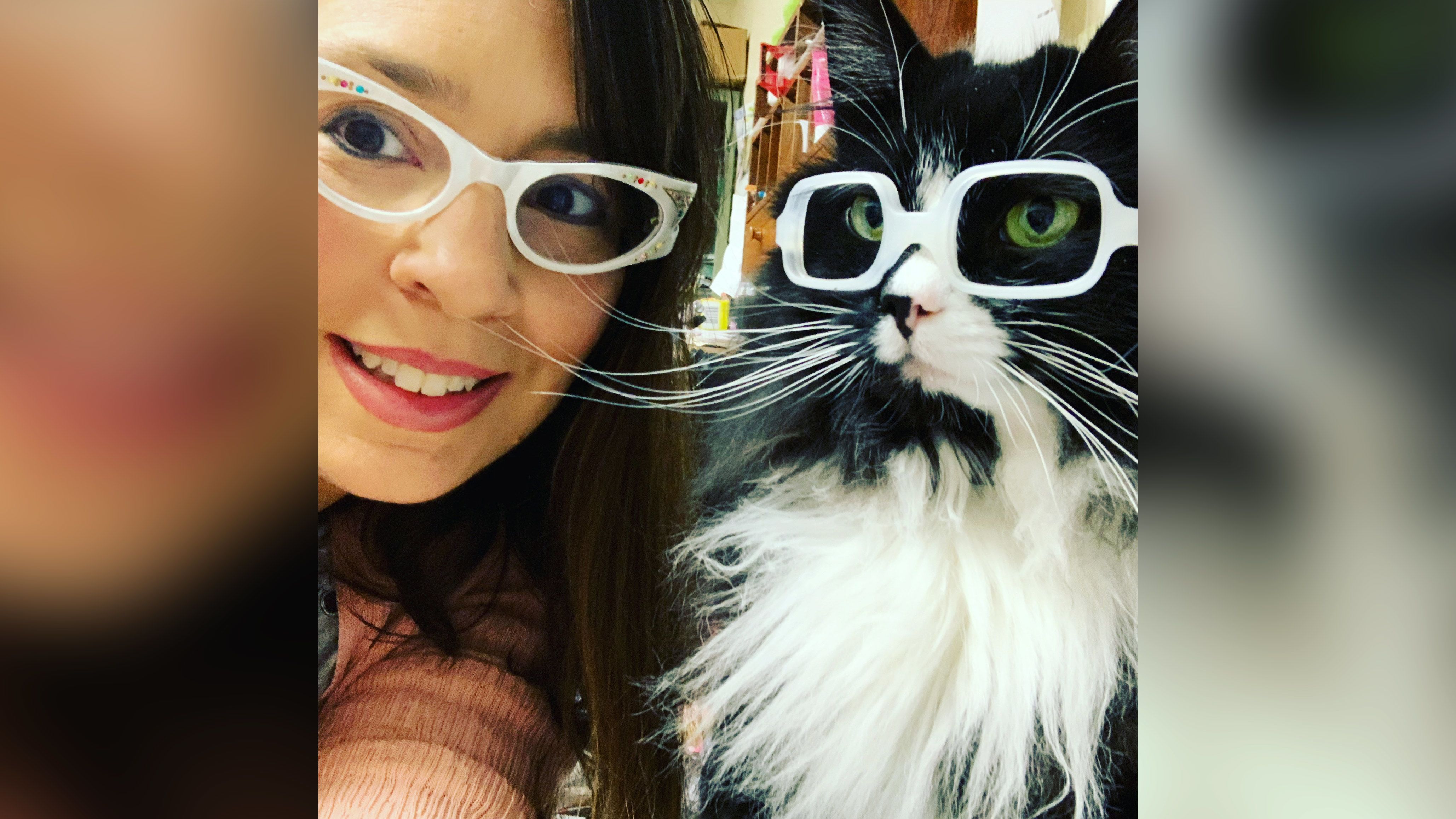 Meet Truffles, the special kitty who wears glasses to help kids