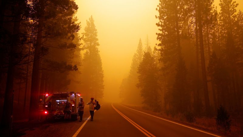 Don Accuses Resource Consumption of Fueling Climate Crisis