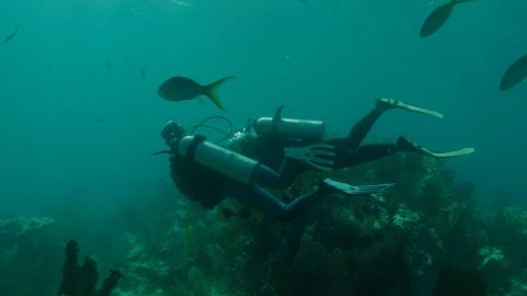 "Lessons from the Water" followed Black scuba divers as they performed fieldwork.