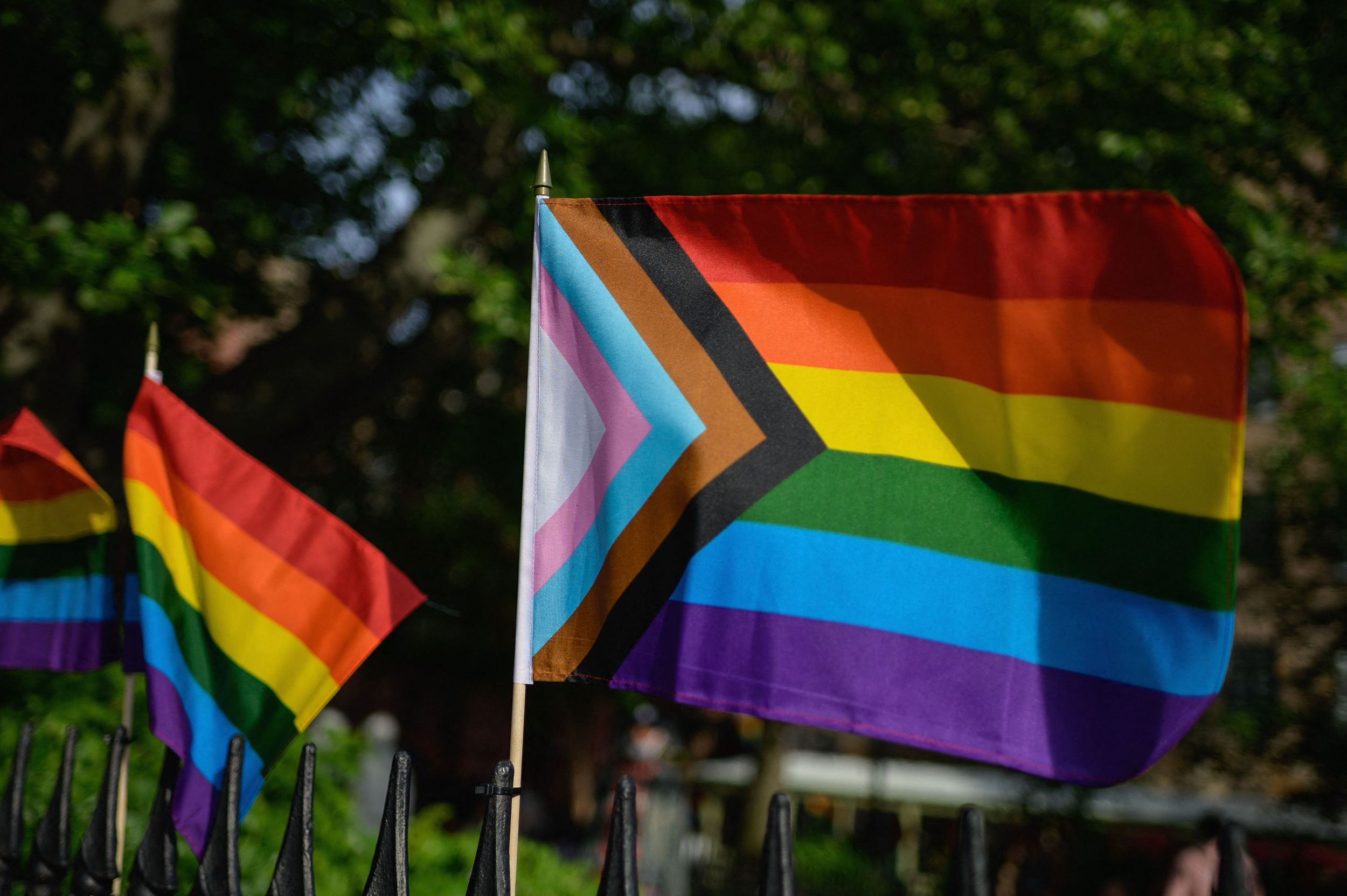 LGBTQ groups across the US consider a new flag meant to be more