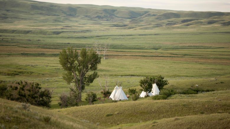 W6RC0R Teepees as rental accommodation in a small grove in the West Block of Grasslands National Park, in southern Saskatchewan.

Date taken: 8 July 2019

Contributor: Timothy Hellum / Alamy Stock Photo

Location: Saskatchewan, Canada