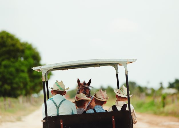 Belize's Mennonites still travel by horse and cart.