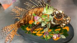 cooked lionfish