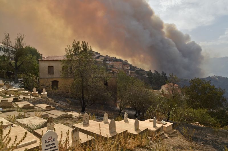 Algeria: Wildfire Rips Through Country, Killing 65 People Including ...