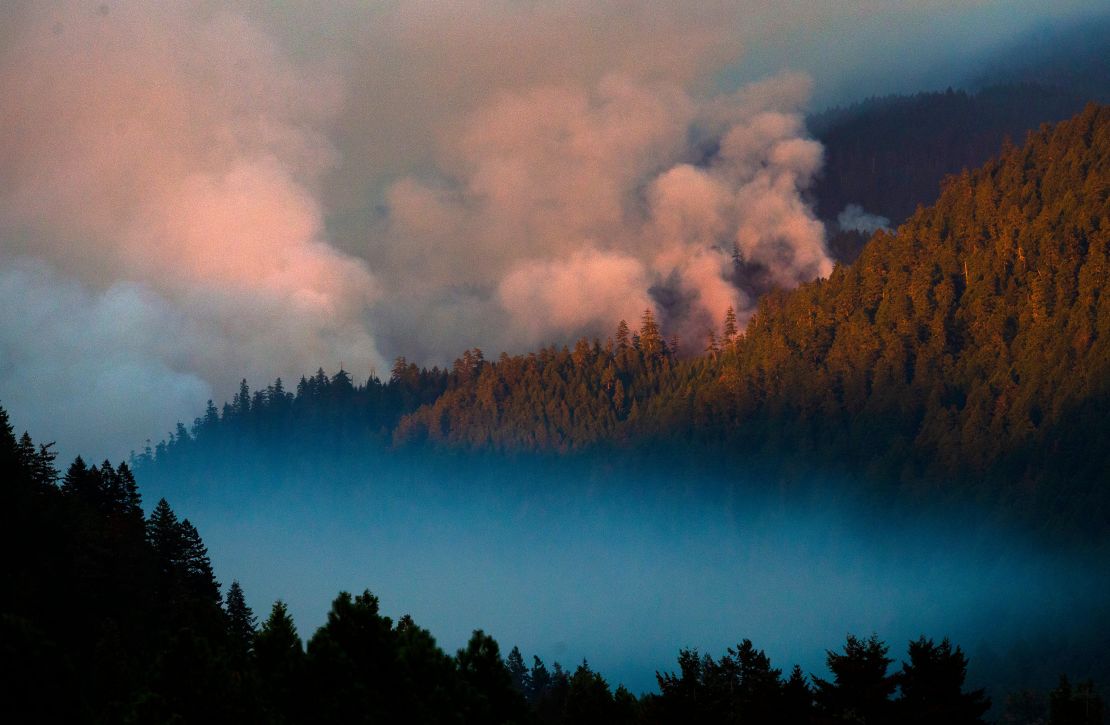 Smoke plumes rise from the Kwis Fire near Eugene, Oregon, on August 10, 2021.
