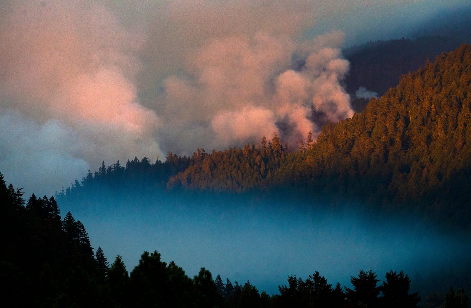 Smoke plumes rise from the Kwis Fire near Eugene, Oregon, on August 10.