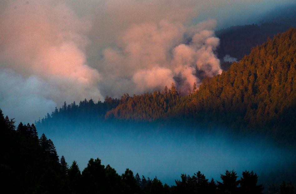Smoke plumes rise from the Kwis Fire near Eugene, Oregon, on August 10.