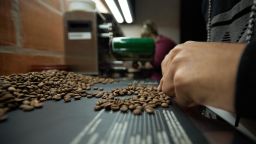 A specialist analyzes arabica coffee beans seen on the selection table of a farm in the Alta Mogiana region on August 4, 2021. The price of coffee rose sharply after a long period of drought and frost that hit the plantations, which harmed the production of coffee beans.