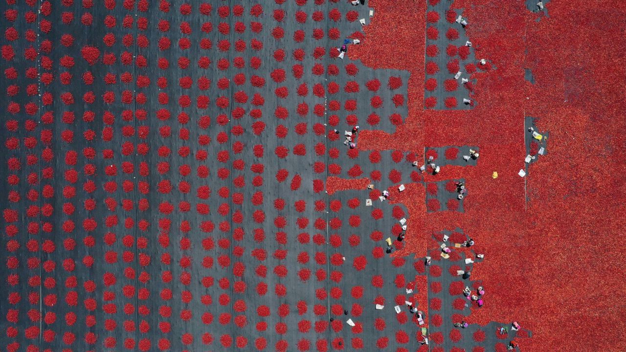 This aerial photo shows farmers drying tomatoes in China's Hoxud County on Wednesday, August 11.