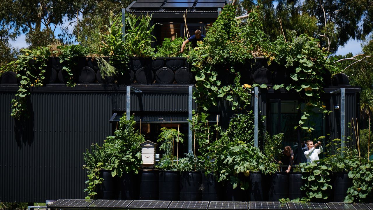 The structure is made from natural, recyclable materials, and it was built without use of chemicals, toxins or glue.
