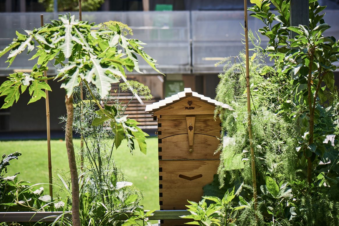 There are beehives on the roof terrace and a vegetable garden that's filled with more than 200 species of plants. It also has its own aquaponics system, a biodigester that converts waste to power and a living wall of mushrooms that is sustained by hot steam from the shower. 