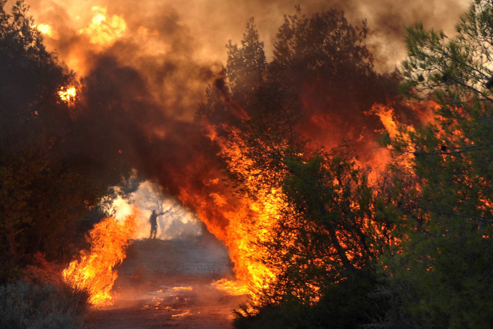 Forest fires rage on the Greek island of Euboea on August 11.