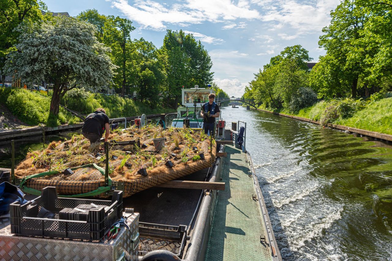 Scottish company Biomatrix Water has developed a way to revitalize urban waterways, using a modular system of floating platforms -- such as this one, being moved into position in Berlin.