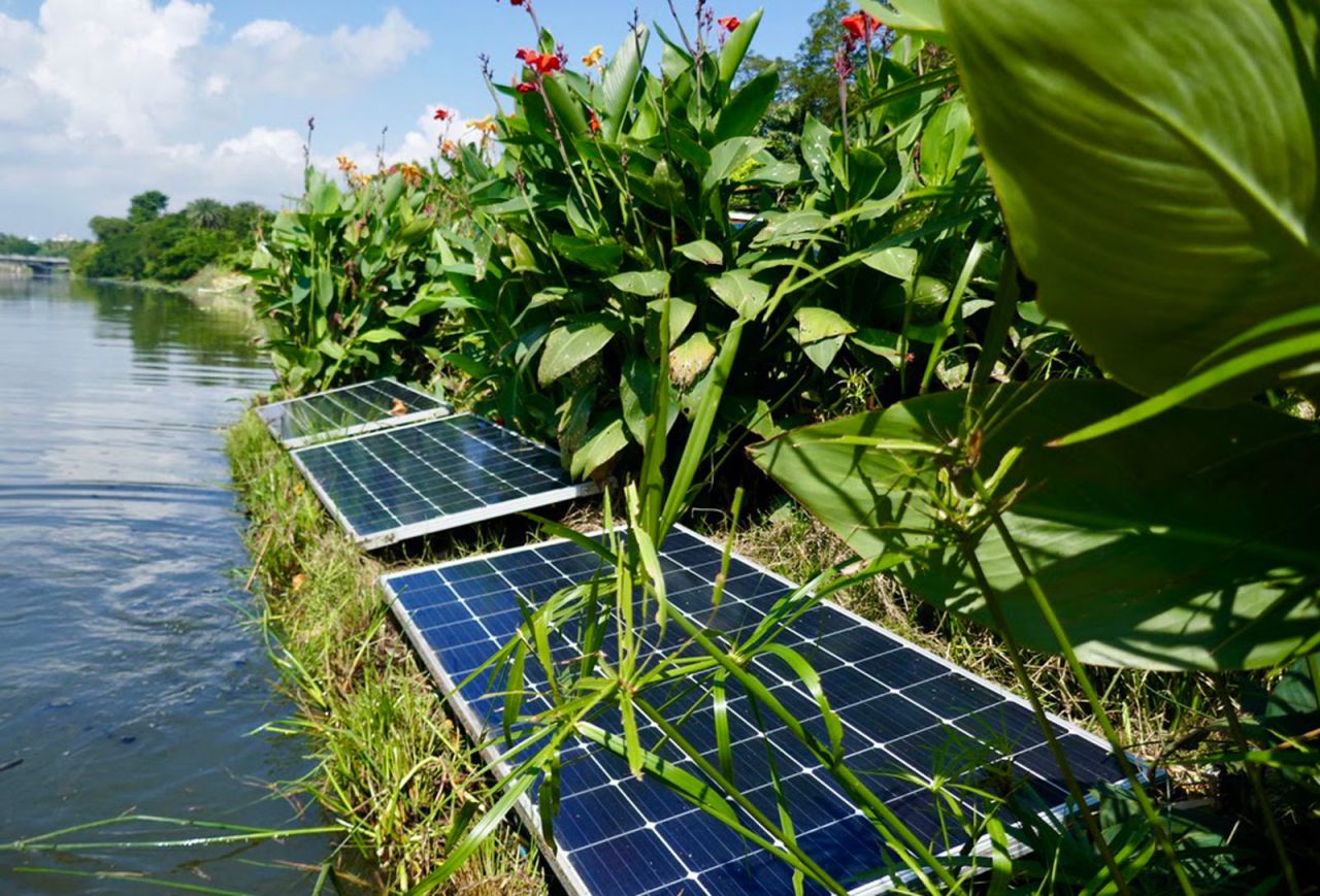 Biomatrix Water installs floating platforms into city canals and rivers, providing vital green space on the water, which improves water quality and offers a healthy habitat for aquatic fauna. Some of these platforms are equipped with solar-powered water treatment systems, such as this one in Chennai, India.