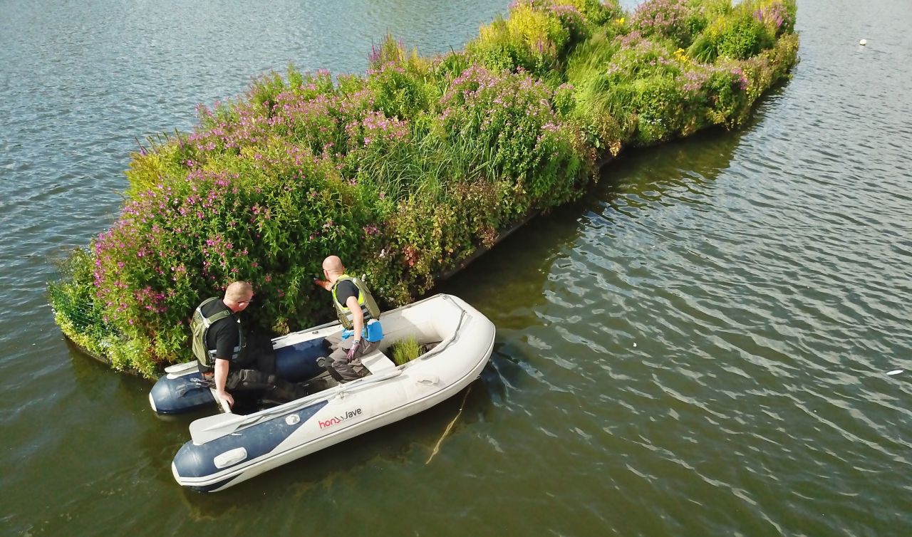 The company has installed its floating ecosystems in cities around the world, from Boston to Manila, Berlin to London. Residents local to these city sites say that the platforms, like this one in Killingworth Lake in the UK, have completely transformed their area.