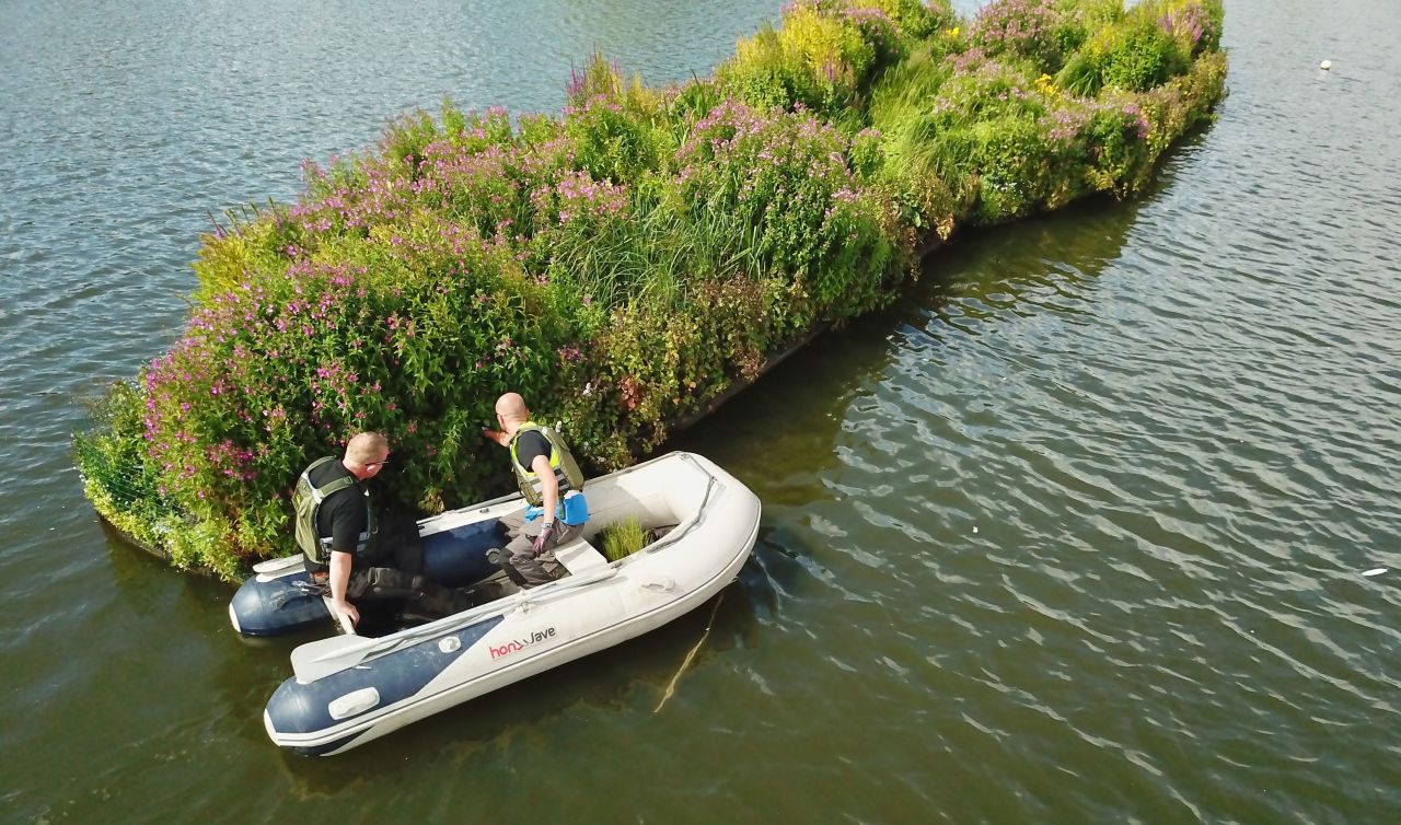 The company has installed its floating ecosystems in cities around the world, from Boston to Manila, Berlin to London. Residents local to these city sites say that the platforms, like this one in Killingworth Lake in the UK, have completely transformed their area.