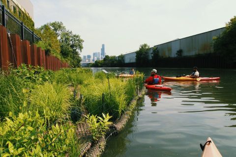 Through its "Living Water Cities" campaign, Biomatrix Water hopes to encourage the development of healthy natural water environments in cities across the world. Pictured: Kayakers enjoy paddling past Biomatrix Floating Ecosystems on the Chicago River.