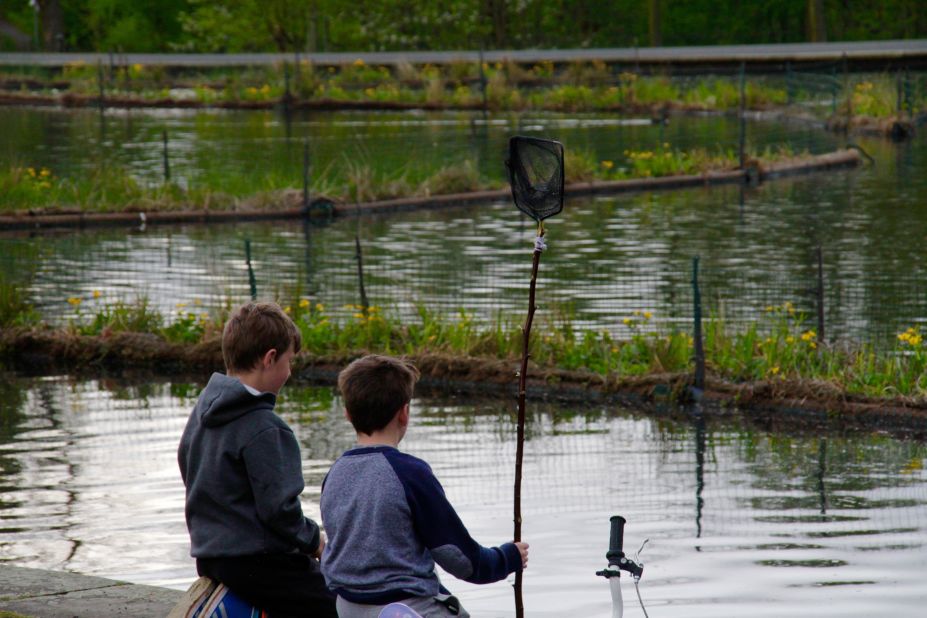 One of the main driving forces for Shaw and co-founder Galen Fulford is the desire to create healthy green spaces for the communities that live in the inner city. Here in Manchester, children now go pond dipping and actually catch things in their nets.