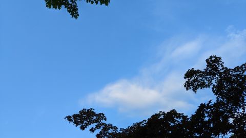 9-pixel 5a test image