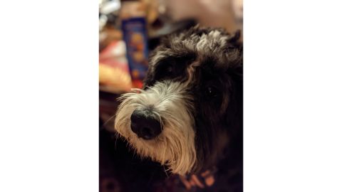 6-pixel 5a test image