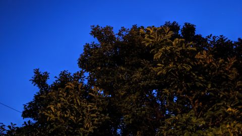 1-pixel 5a test image