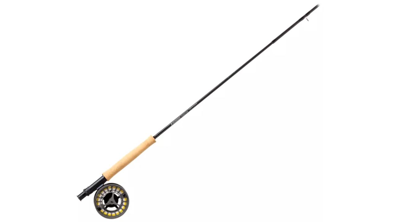 DataBlitz - CATCH THE BIGGEST FISH! Reel Fishing Rod with Free