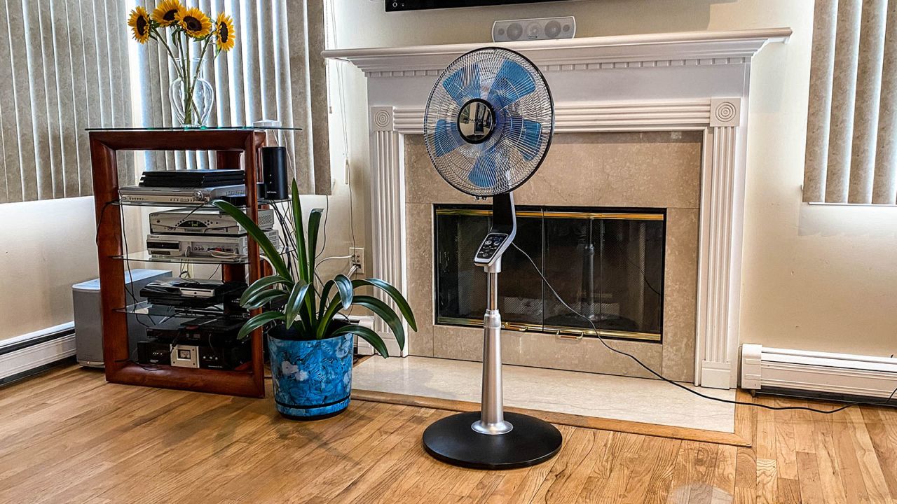 Rowenta VU5670 fan
