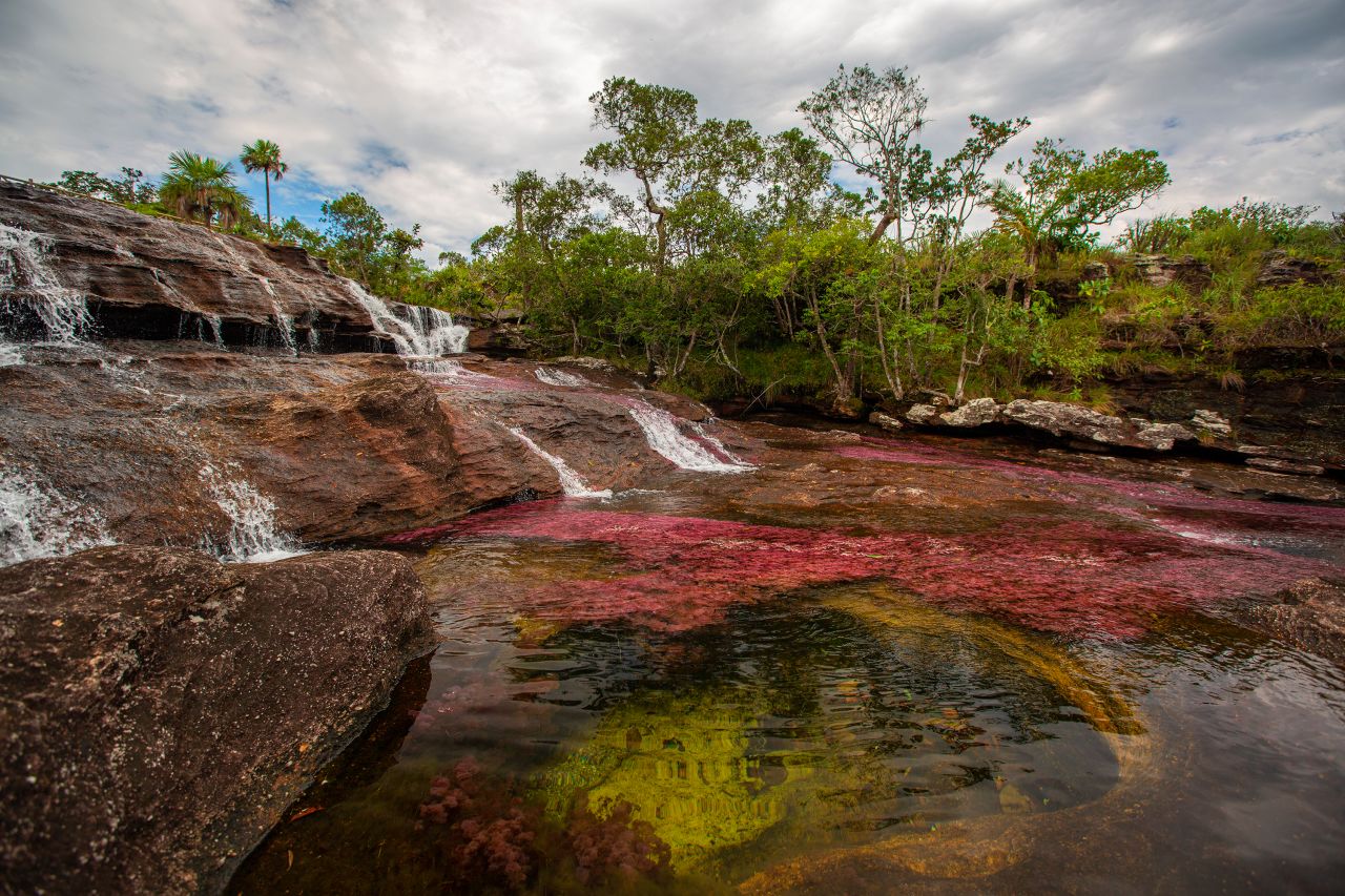 <strong>Caño Cristales: </strong>Colombia's stunning "River of Five Colors" is located in Serranía de la Macarena national park, in the province of Meta. 