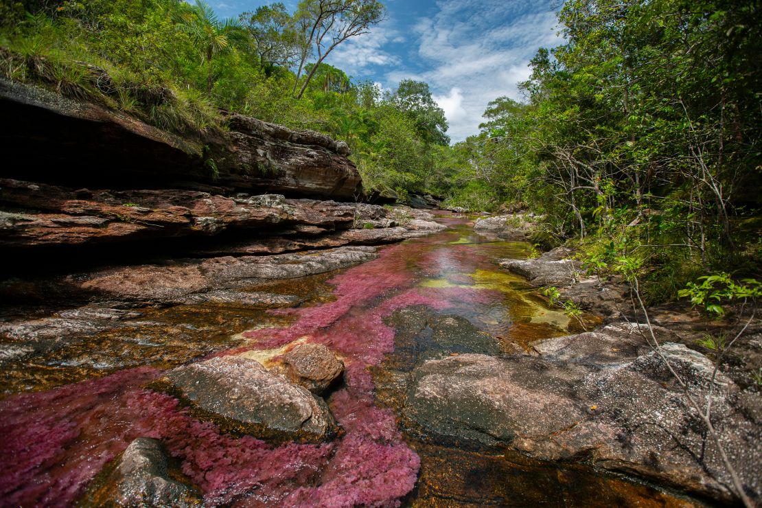 The river seemingly runs red when the riverweed is in bloom.