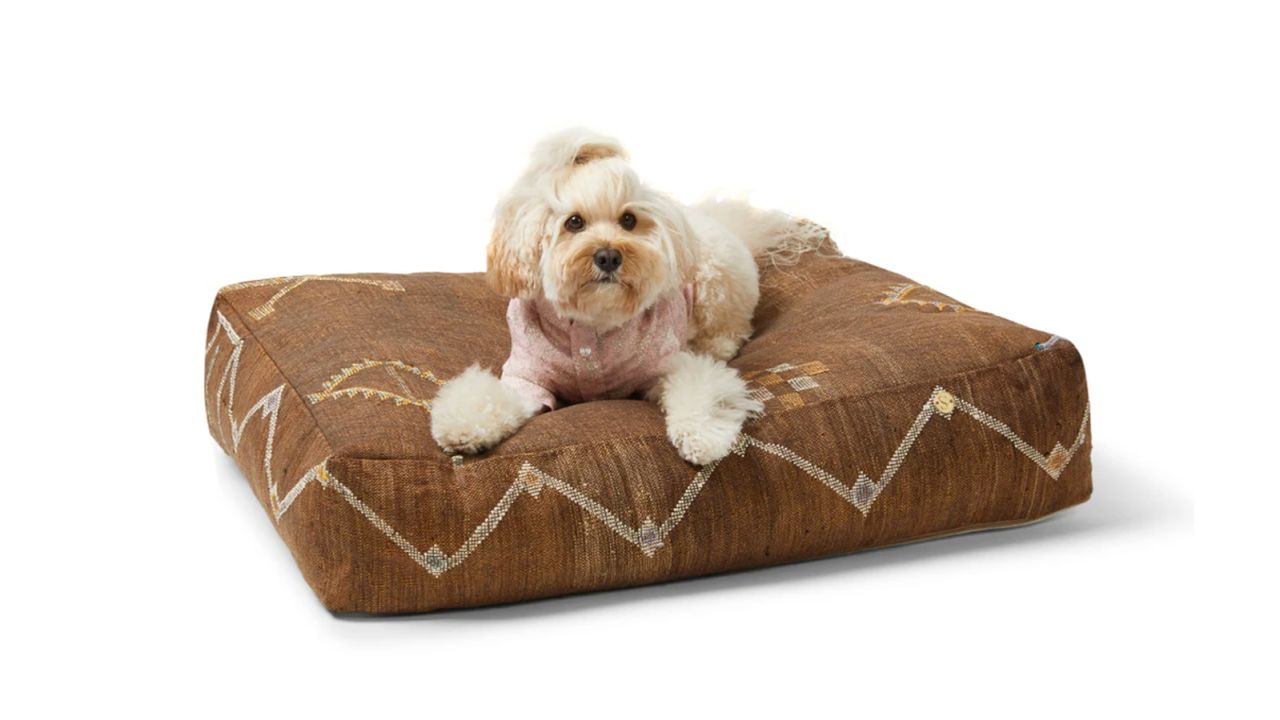 Cactus Silk Dog Bed