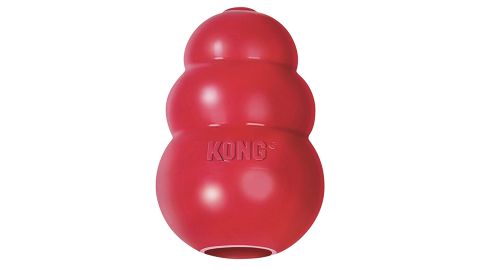 Kong Classic Dog Toy