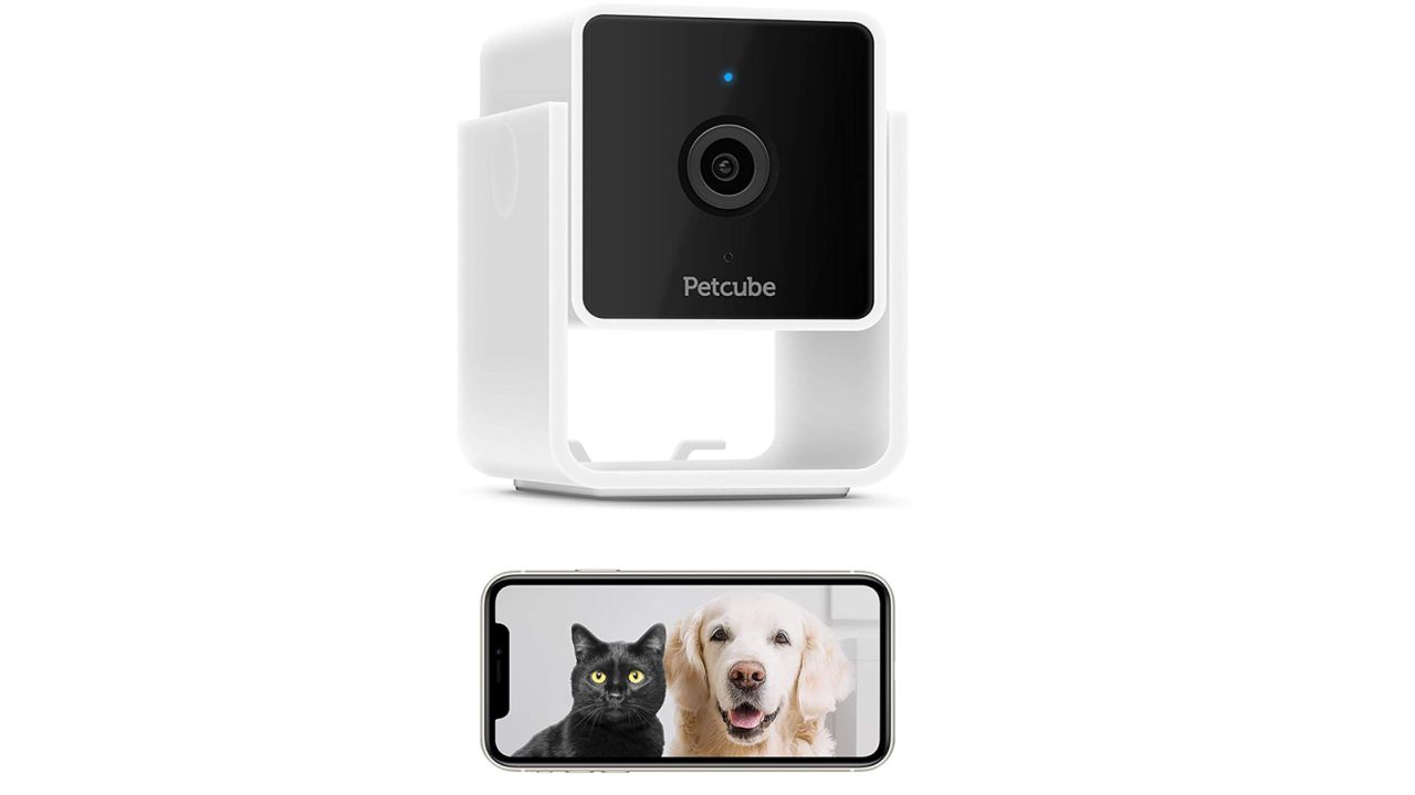 Petcube Cam