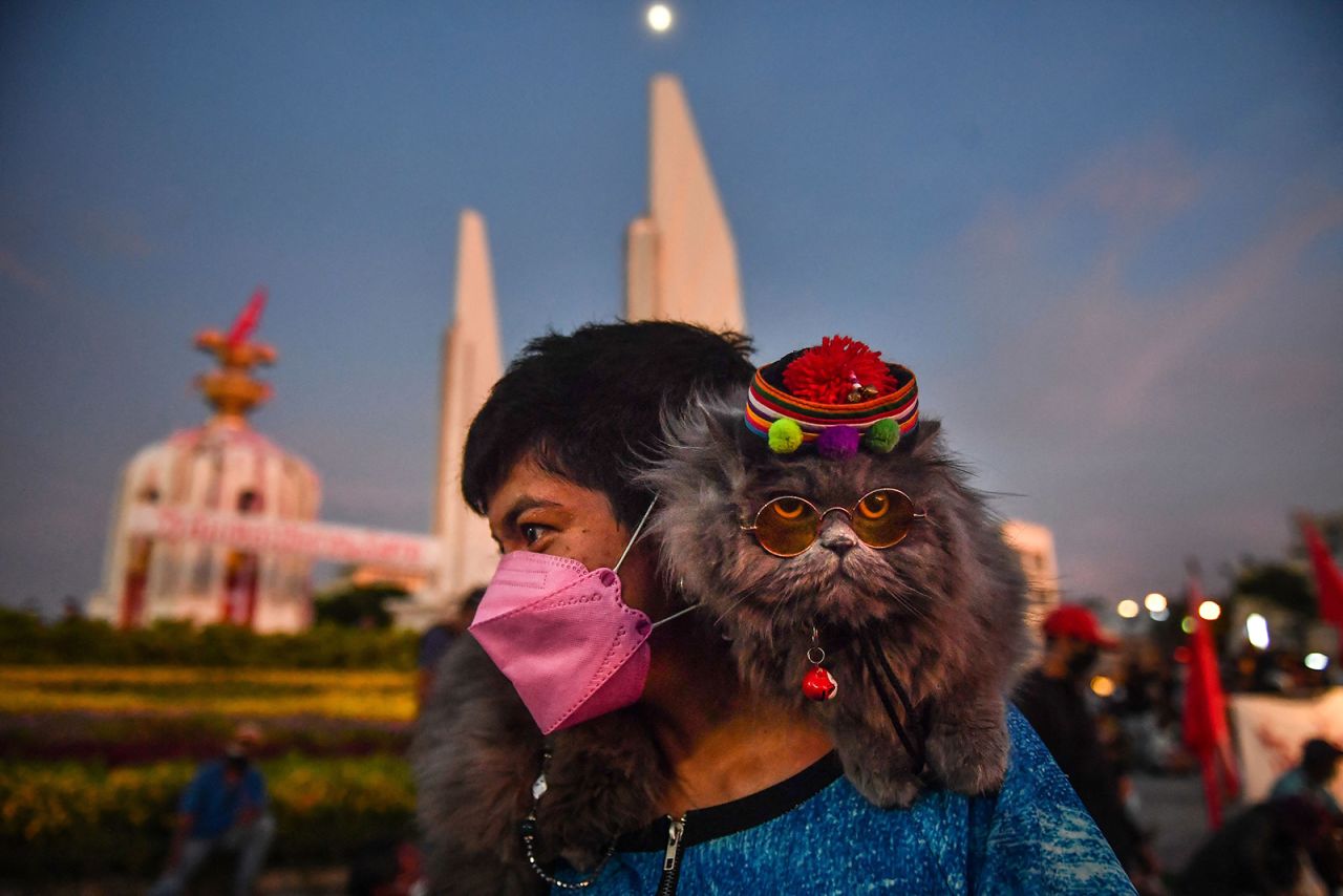 A cat rests on a protester's shoulders in Bangkok, Thailand, on Wednesday, August 18. Protesters, unhappy with the government's handling of the Covid-19 crisis, were calling for the resignation of Prime Minister Prayut Chan-o-cha.