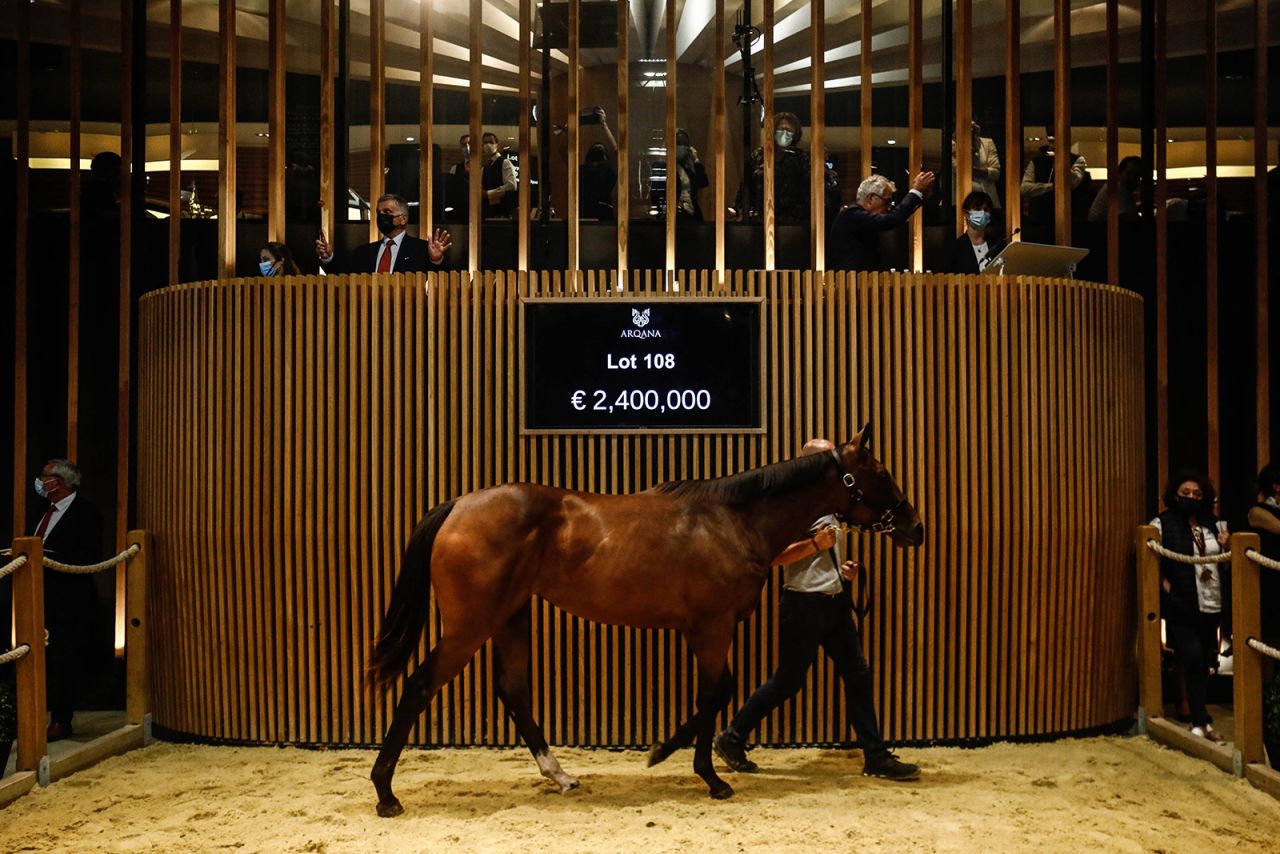 A man walks Typique 2020, a young horse from the Haras d'Etreham farm, after she sold for 2,400,000 euros at a yearling sale in Deauville, France, on Sunday, August 15.