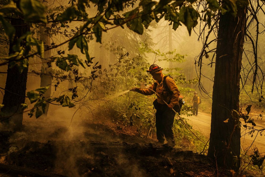 Central Calaveras firefighter Ryan Carpenter extinguishes flames from the Caldor Fire on Hazel Valley Road east of Riverton, California, on Thursday, August 19.