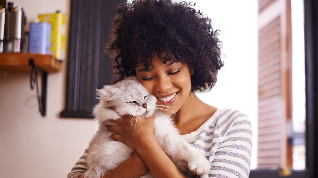 pet4