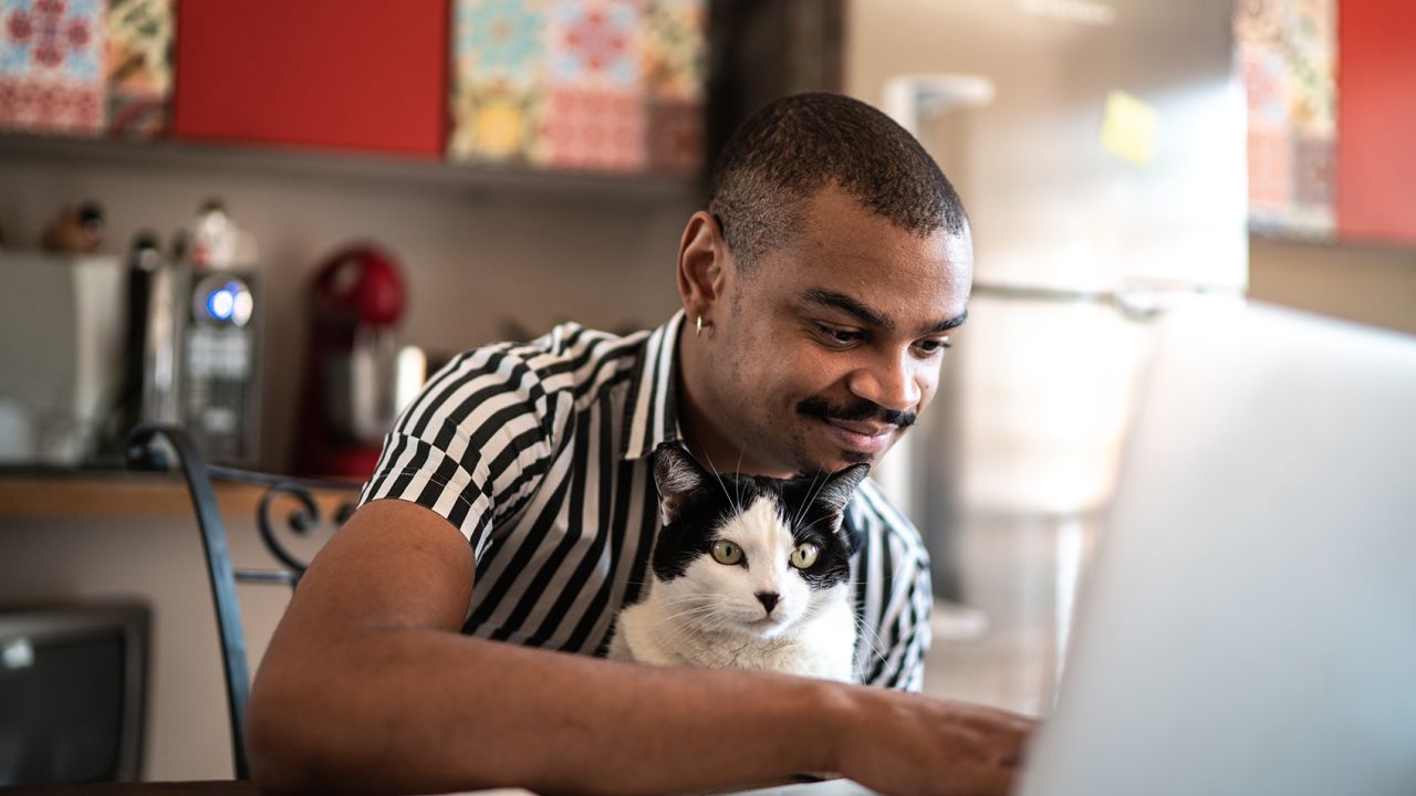 pet3