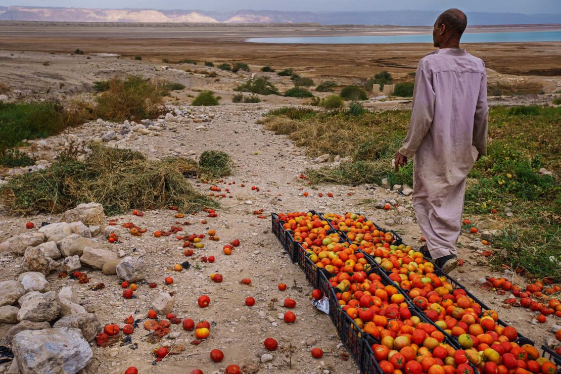 A tomato farmer looks off towards an area where the Dead Sea has receded in Ghor Haditha, Jordan, on April 10, 2021.